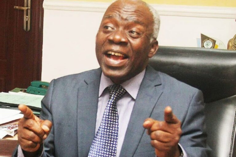 Femi-Falana