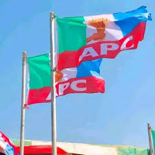 APC Logo