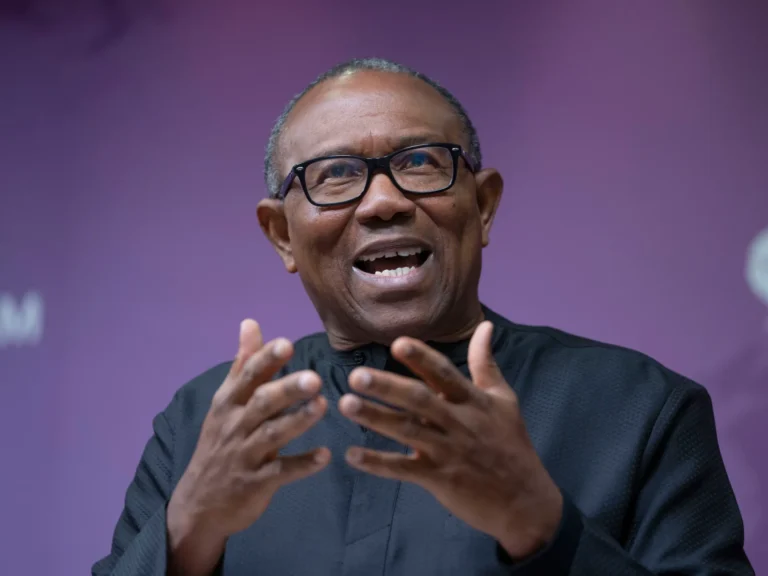 NDC Presidential Candidate, Peter Obi